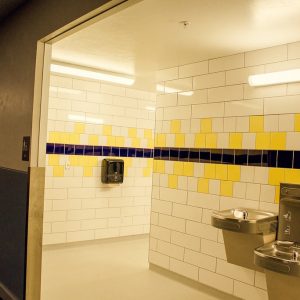 Bathroom tiles | Pierce Flooring